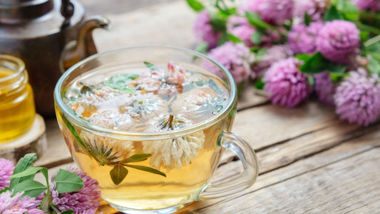 The Benefits of Red Clover for Menopause